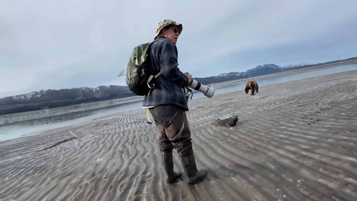 Niedźwiedź szarżował prosto na fotografów.
