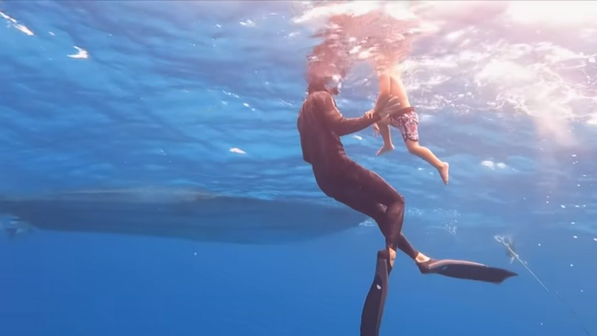 Youtuberzy pokazali, jak ich syn nurkował z rekinami 