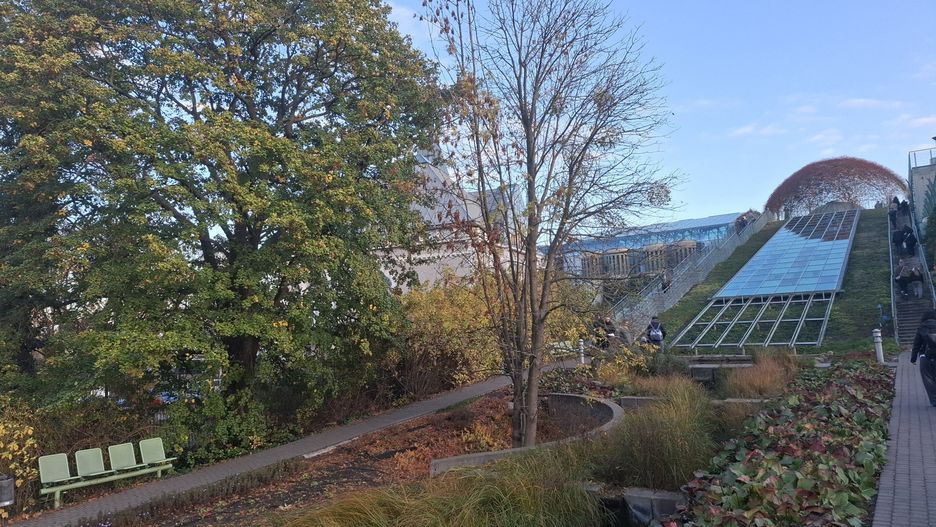 Jesień w Ogrodach BUW