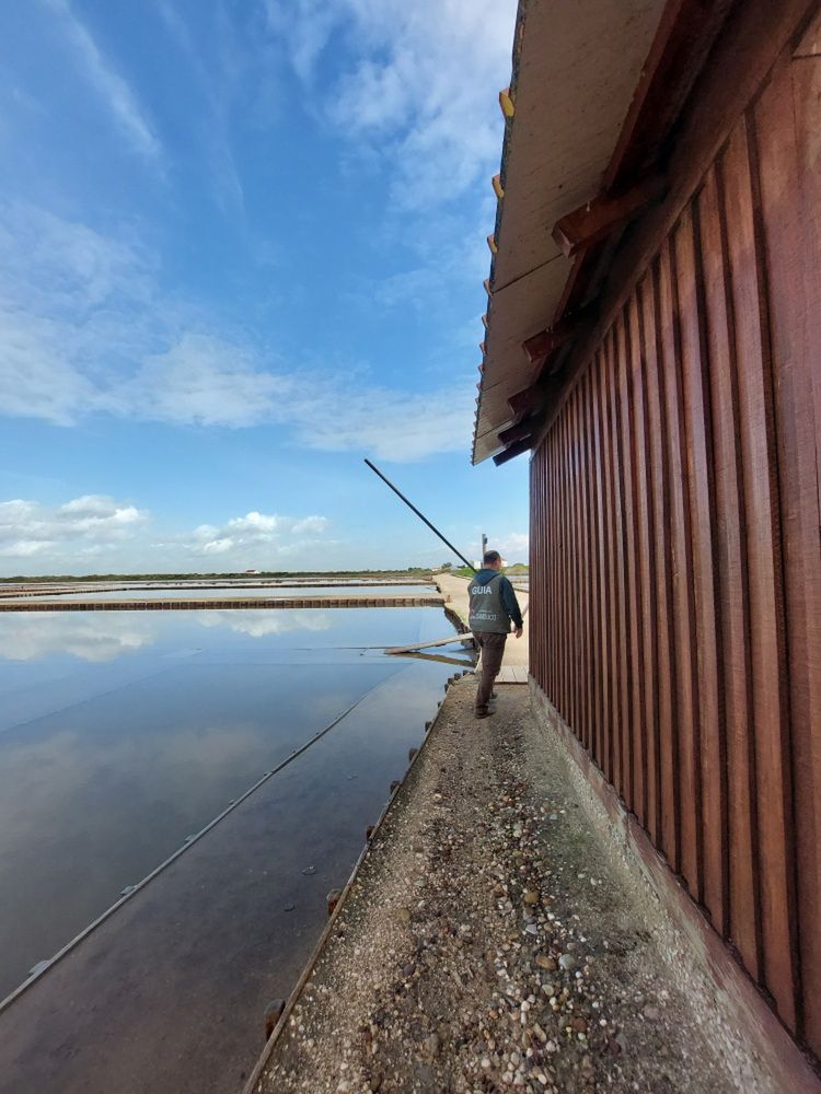 Salinas do Samouco