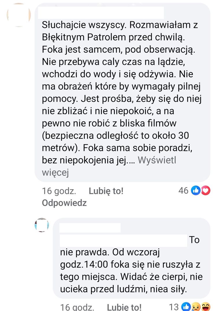 Pomimo wyjaśnienia, aktywistka twierdziła, że "foka cierpi"