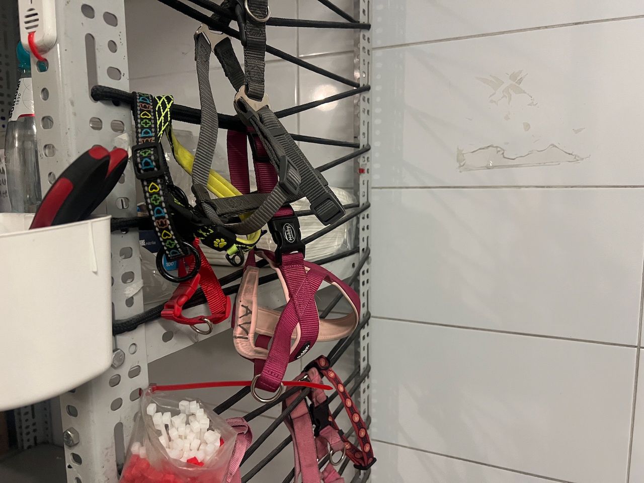 LS Airport Services. Terminal cargo