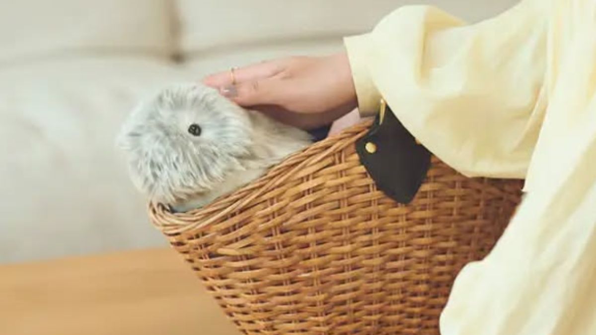 Moflin podbija serca Japończyków.