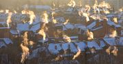 Przyczyna smogu tkwi również w budynkach