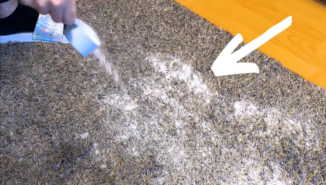 Jak wyczyścić dywan sodą oczyszczoną? Fot. Genialne.pl