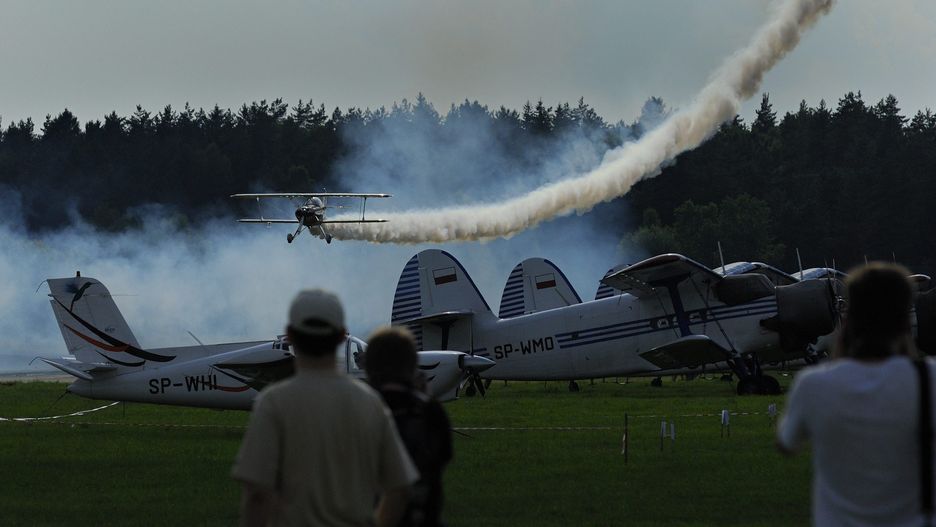 Las przy olsztyńskim lotnisku pójdzie do wycinki (zdj. arch.)