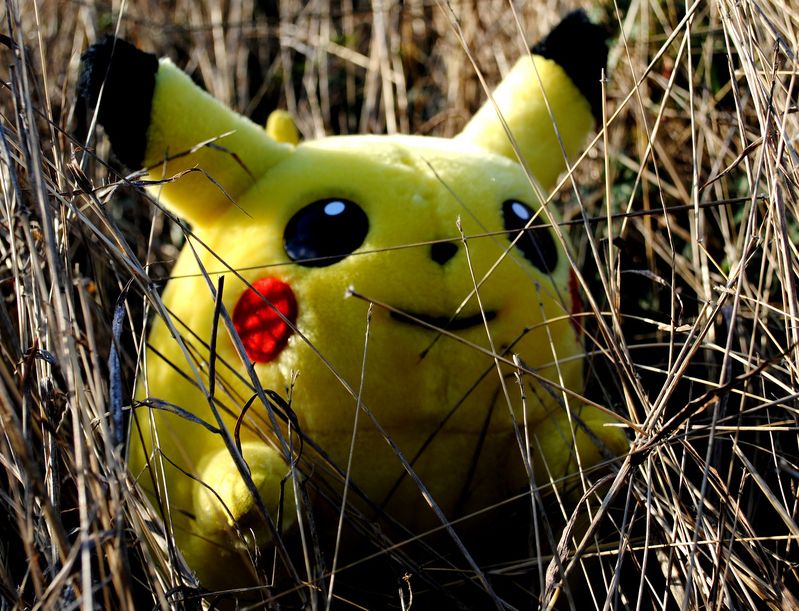Łapanie Pokemonów grozi śmiercią. Można wejść na minę