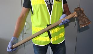 Martwy pies znaleziony w Górkach. Właściciel zlecił zabójstwo zwierzęcia kolegom, użyli siekiery