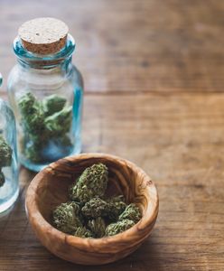 Kolejna plantacja konopi zlikwidowana