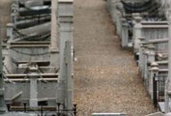 Co trzeci Francuz uważa się za rasistę