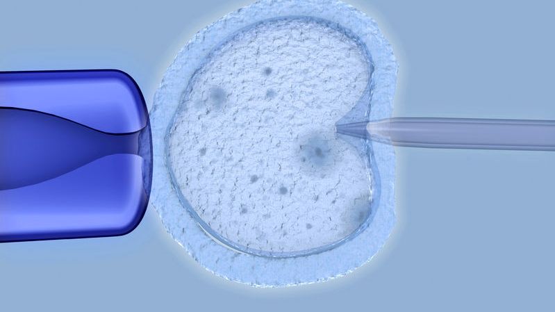 in vitro