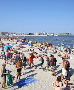 Grzyby, bakterie i pasożyty atakują także na plaży. Można się przed nimi chronić