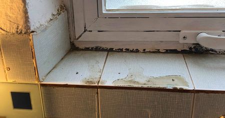 Koszmarne wakacje na Krecie. Polscy turyści walczą z brudem, insektami i żywiołem