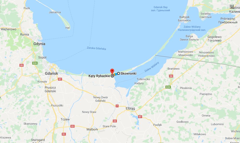 Wieloryba odnaleziono na Mierzei Wiślanej 