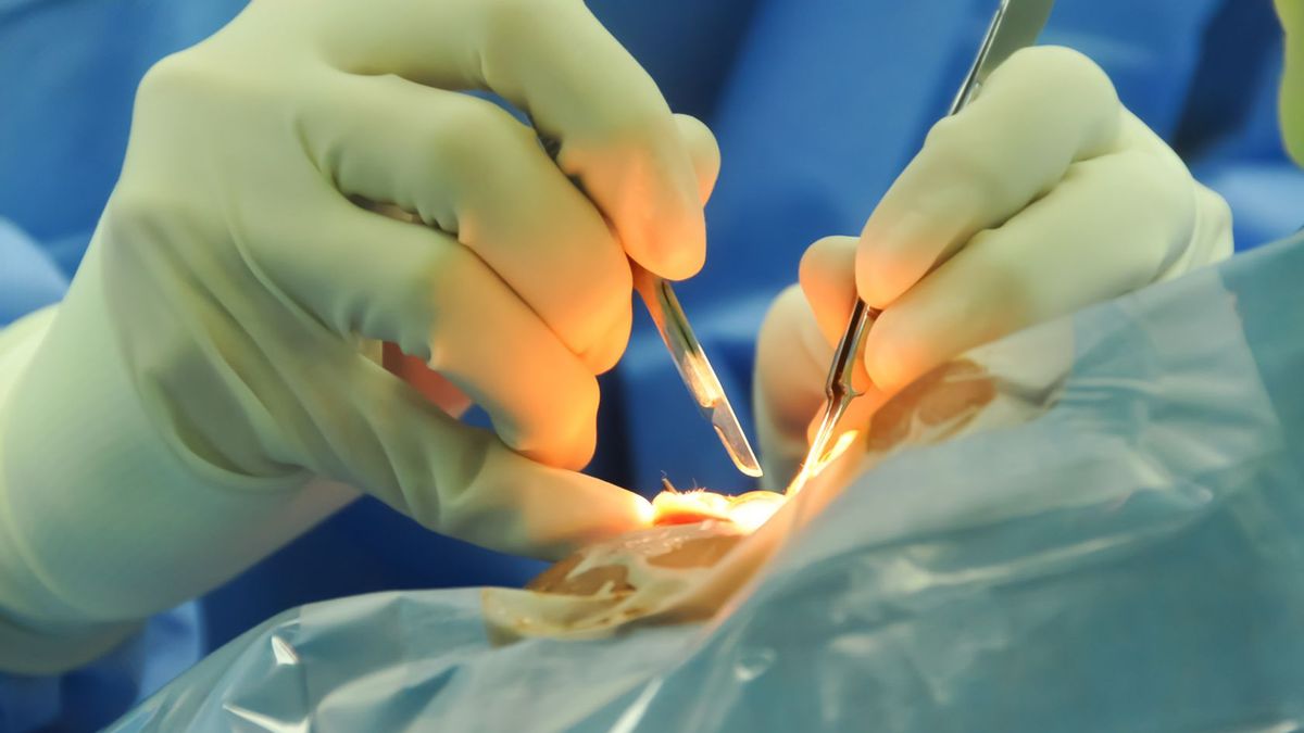 W Polsce pacjent NFZ nie może wybrać rodzaju wszczepianej soczewki. 