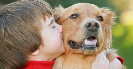 Dogoterapia – co to jest, cele, szkolenie, rasy psów