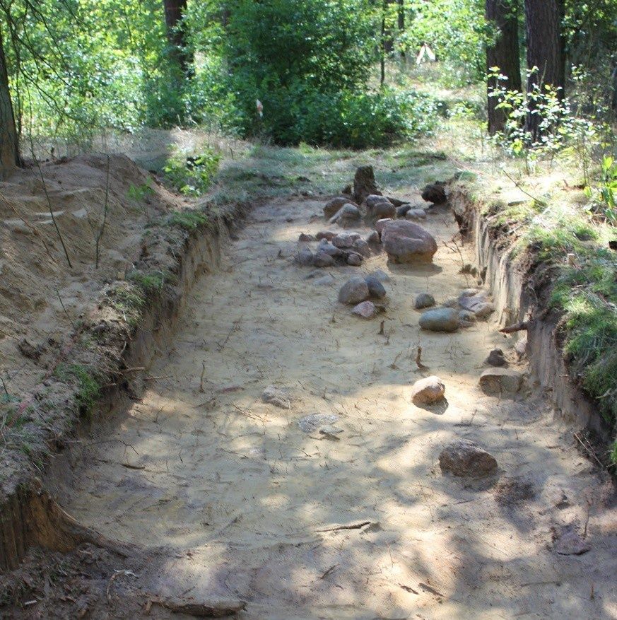 fot. materiały prasowe