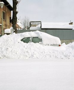 To może być ostatnia taka zima. Fakty nie pozostawiają złudzeń