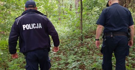 Tragedia w lesie. Konar przygniótł mężczyznę