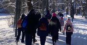 Ten problem wraca do Zakopanego jak bumerang. "Niewielki ułamek daje o sobie znać"