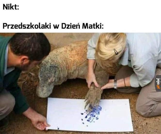 Memy na Dzień Matki 2024 (Internet)