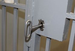 Kłodzko. Kosztowna kłótnia. Policjanci podczas interwencji znaleźli stos narkotyków