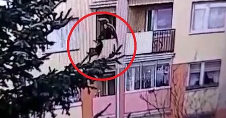 Wnuk wyrzucił babcię przez balkon. Wszystko zarejestrowała kamera monitoringu