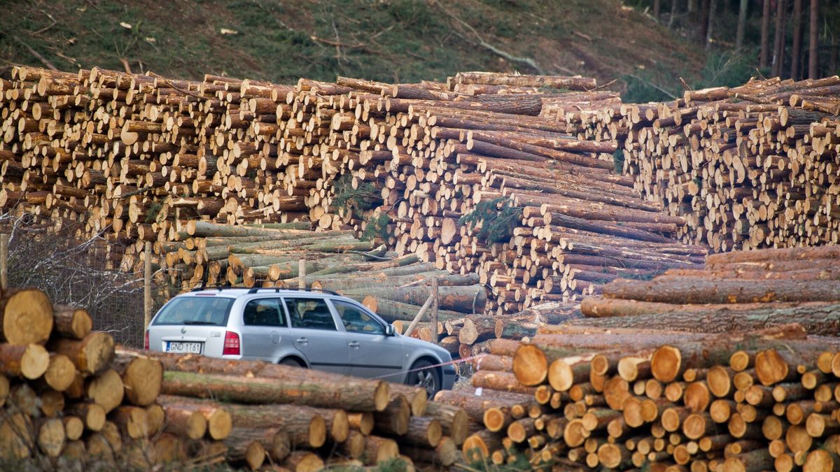 Budowa Przekopu przez Mierzej? Wi?lan?
01.03.2019 Nowy Swiat Budowa przekopu przez Mierzeje Wislana  Fot. Wojciech Strozyk/REPORTER
Wojciech Strozyk/REPORTER