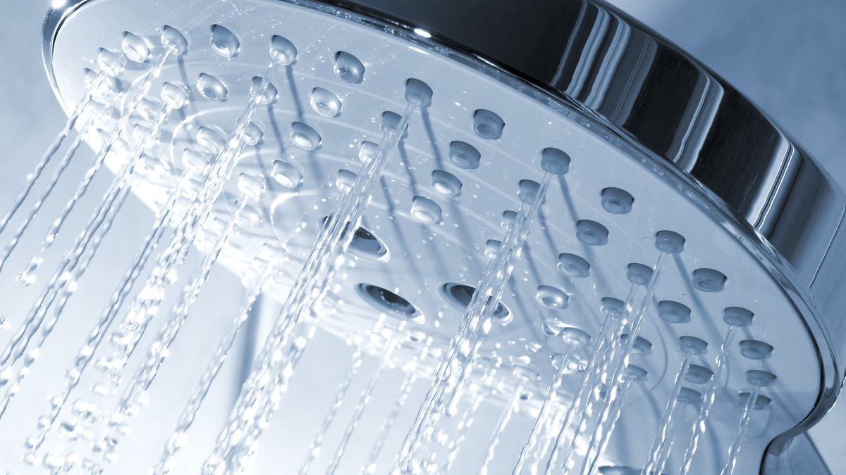 bakterie w słuchawce prysznicowej