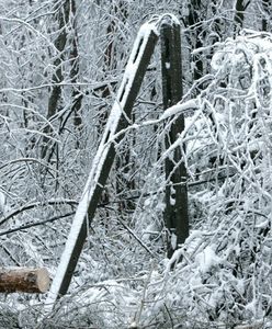 Podkarpacie. Śnieg uszkodził linie energetyczne. 40 tys. gospodarstw bez prądu