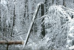 Podkarpacie. Śnieg uszkodził linie energetyczne. 40 tys. gospodarstw bez prądu