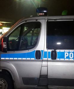 Powiesił psa. 30-latek z Łódzkiem zatrzymany