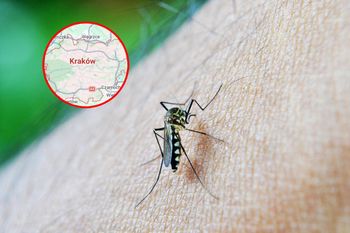 Tropikalna choroba w Polsce. Nastolatkowie w szpitalu