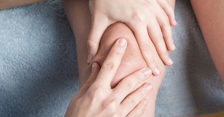 Ciało tłuszczowe Hoffy – budowa, rola i choroba
