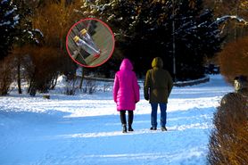 Co Polacy sądzą na temat "małpek"? Prawie połowa chce jednego