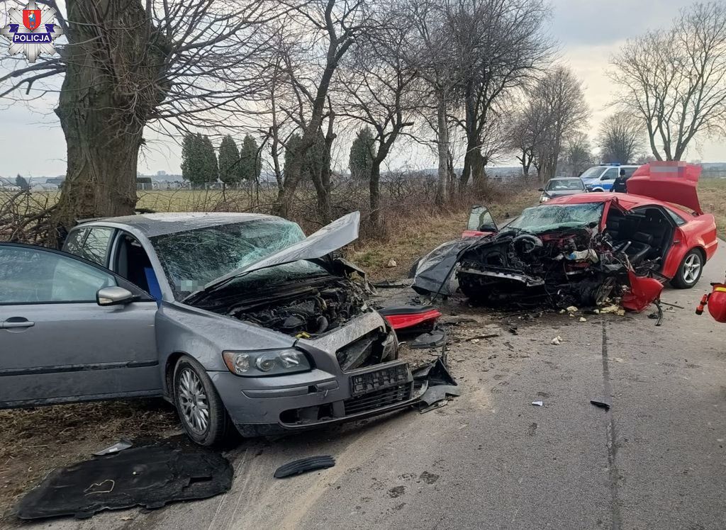 Tragiczny wypadek pod Zamościem. Nie żyje 22-latek