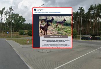 Ojciec 46-letniego Marcina nie kryje żalu. "Liczę na sprawiedliwość"
