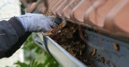 Czyszczenie rynien – ile kosztuje i dlaczego warto zadbać o drożność?