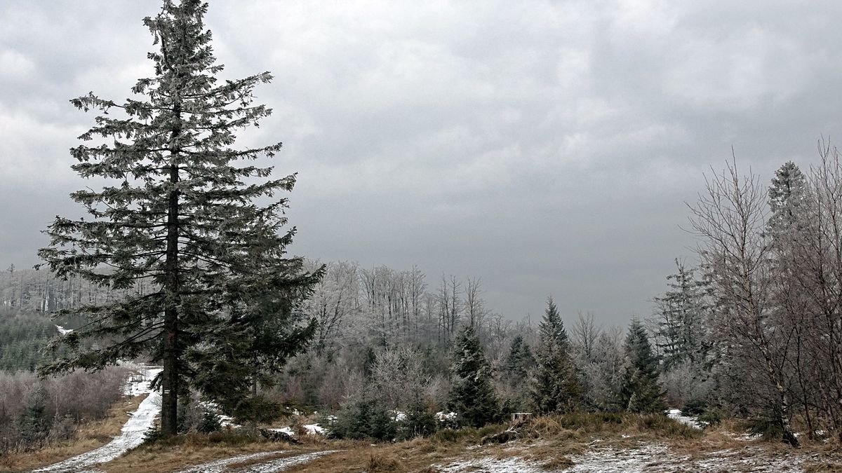 Trudne warunki w Beskidach. GOPR ostrzega