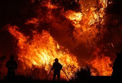 Portugalia stoi w ogniu. Pożary dotarły do turystycznych regionów