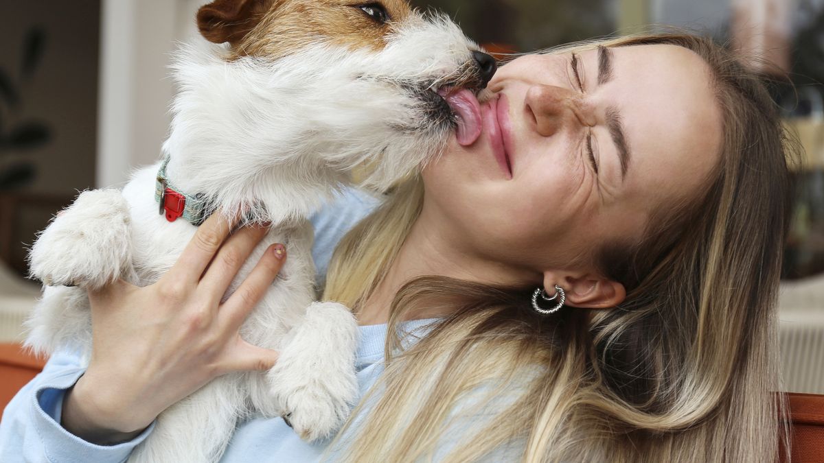 Tak pies może reagować na twój głos (zdj. ilustracyjne)