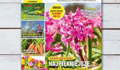 Marcowe wydanie „Kocham Ogród” z pakietem nasion na nowy sezon