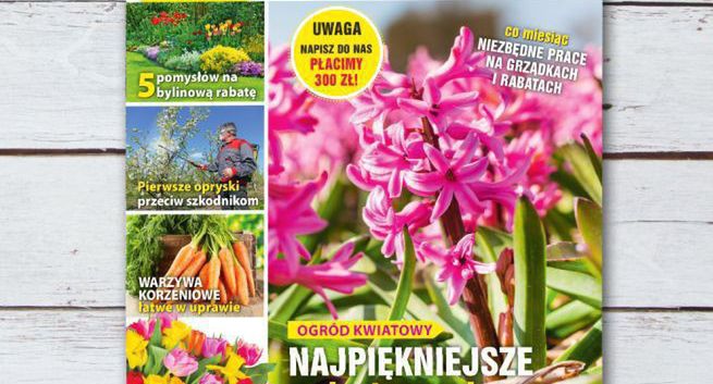 Marcowe wydanie „Kocham Ogród” z pakietem nasion na nowy sezon