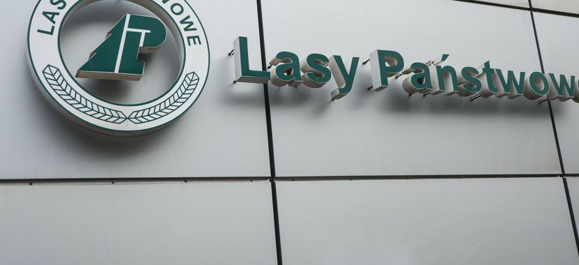 Są zarzuty dla byłych dyrektorów Lasów Państwowych