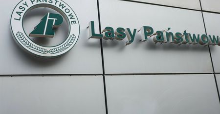 Są zarzuty dla byłych dyrektorów Lasów Państwowych