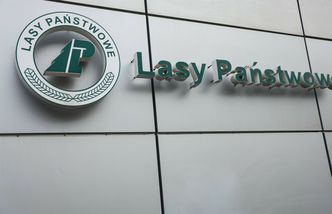Są zarzuty dla byłych dyrektorów Lasów Państwowych