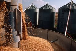 Dopłaty dla rolników. Ostatni dzień na złożenie wniosku