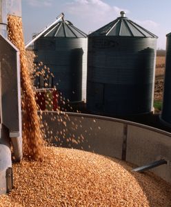 Dopłaty dla rolników. Ostatni dzień na złożenie wniosku