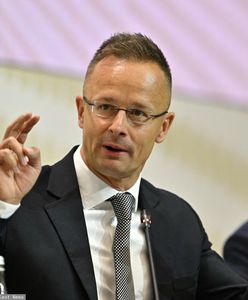 Węgrzy wskazują, który kraj widzą w Unii Europejskiej