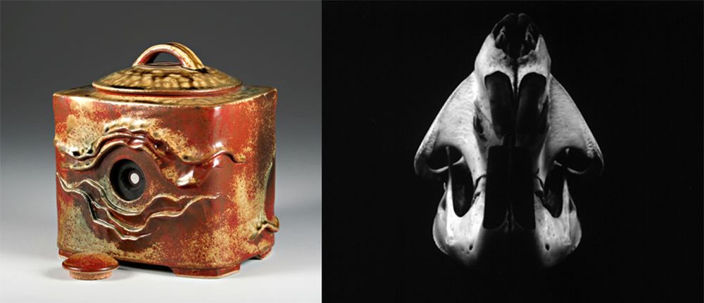 Steve Irvine i jego ceramiczne aparaty. To prawdziwe cuda! 12